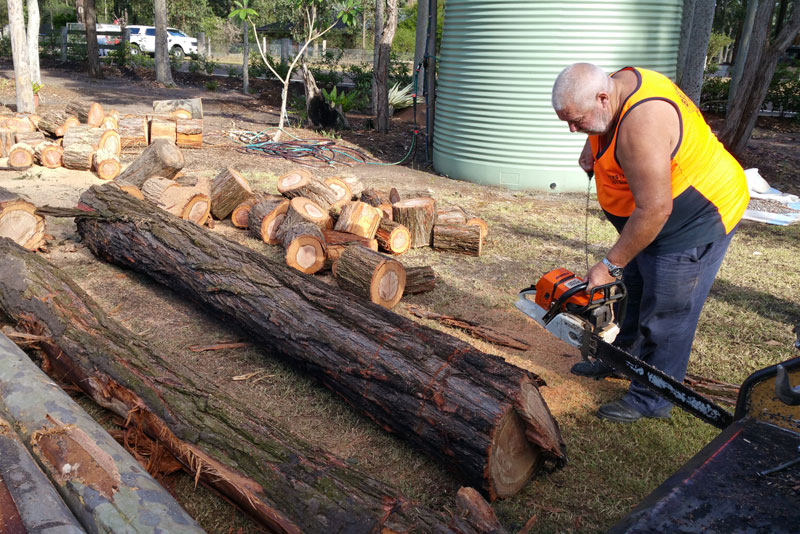 Tree Removal Newcastle