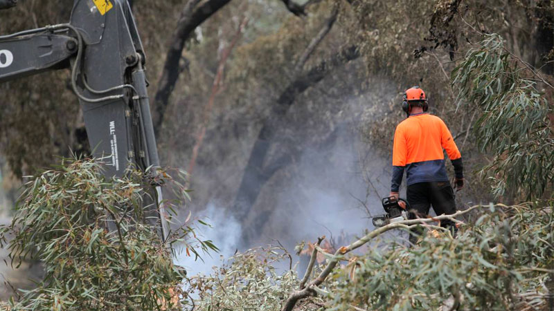 Stump Removal Newcastle
