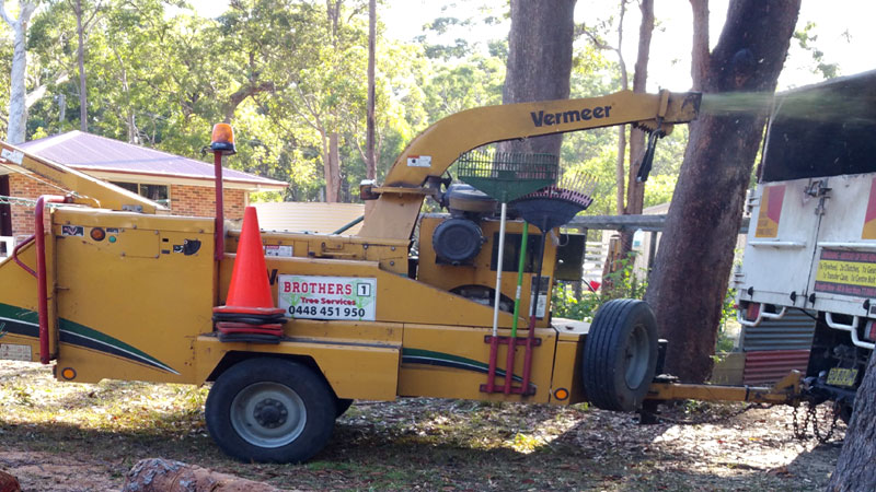 Tree Removal Newcastle