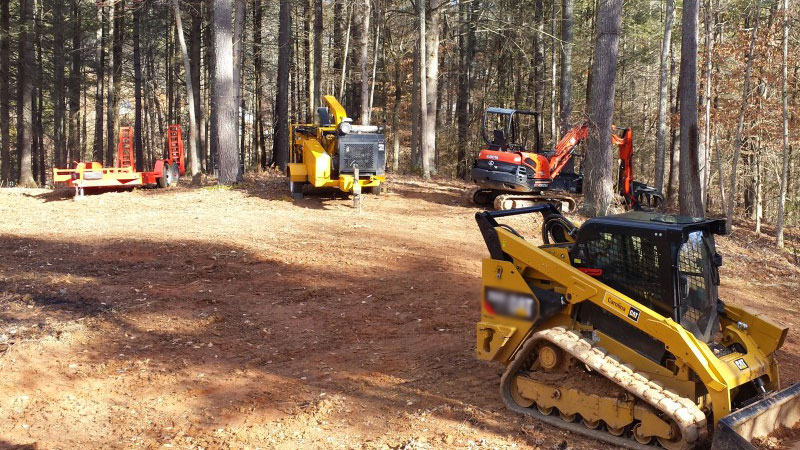 Rutherford Land Clearing