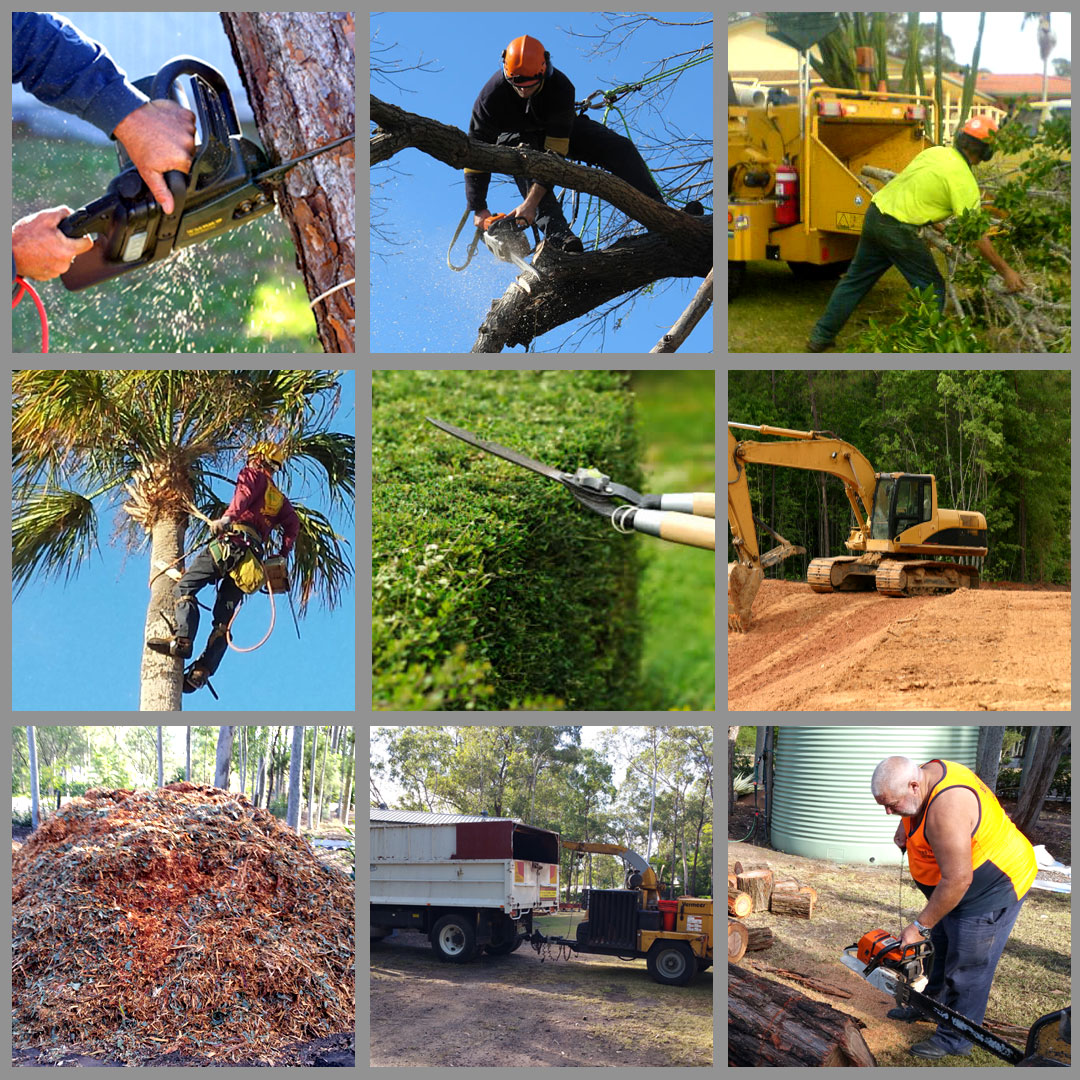 Tree Removal Newcastle