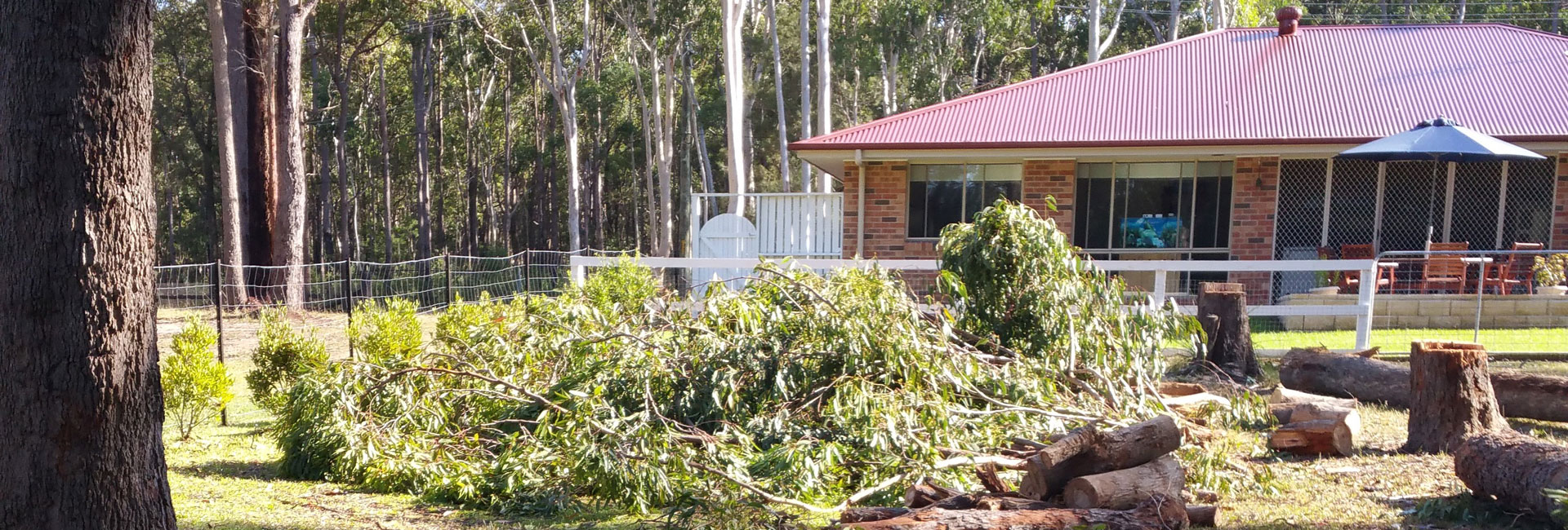 Stump Removal Newcastle